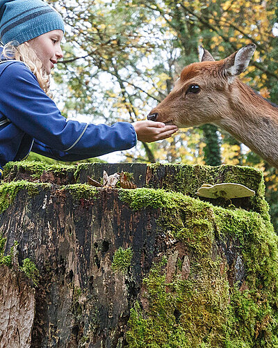 Nature Reserve and Wildlife Park Goldau